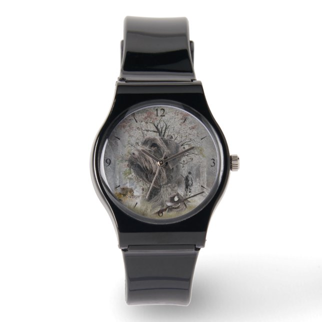 Montre Pointer à poil dur allemand (Recto)