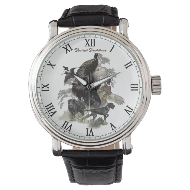 Montre  Pointer à poil dur allemand (devant)