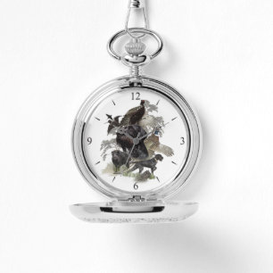 Montre Pointeur À poils durs allemand