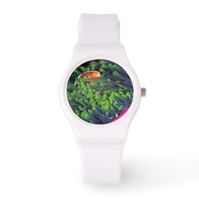 Montre Poisson Anémone se Cachant dans une Anémone, Mozam (Recto)