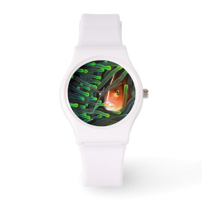 Montre Poisson Anémone se cachant dans une Anémone, Mozam (Recto)