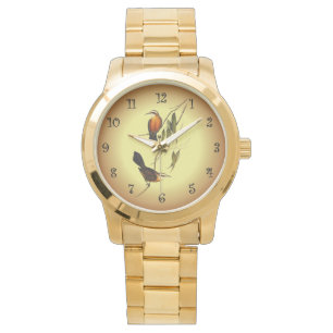 Montre Pomatorhinus à poitrine rouge ~ Elizabeth Gould 01