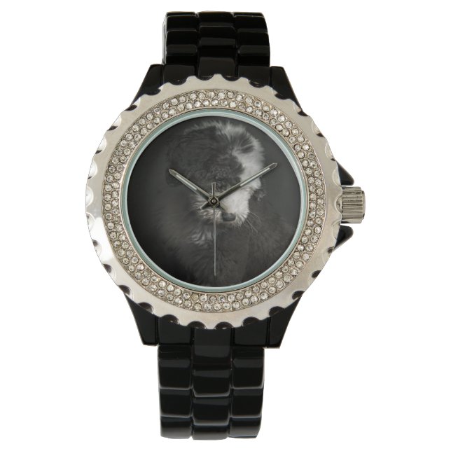 Montre Portrait de Bobtail puppy (devant)