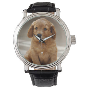 Montre Portrait de chiot mignon photo