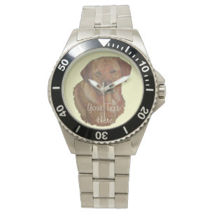 Montre portrait of rarred golden labrador reever doff
