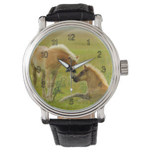 Montre Poulains de cheval