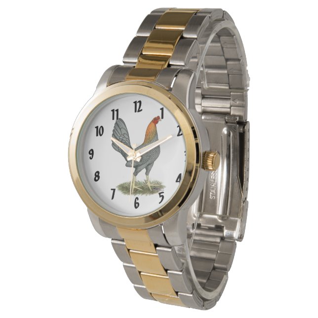 Montre Poule de Combat Bleu Rouge (Incliné)