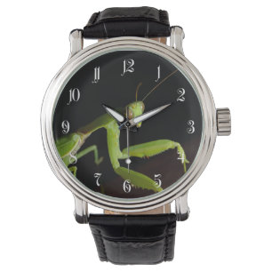 Montre Praying mantid