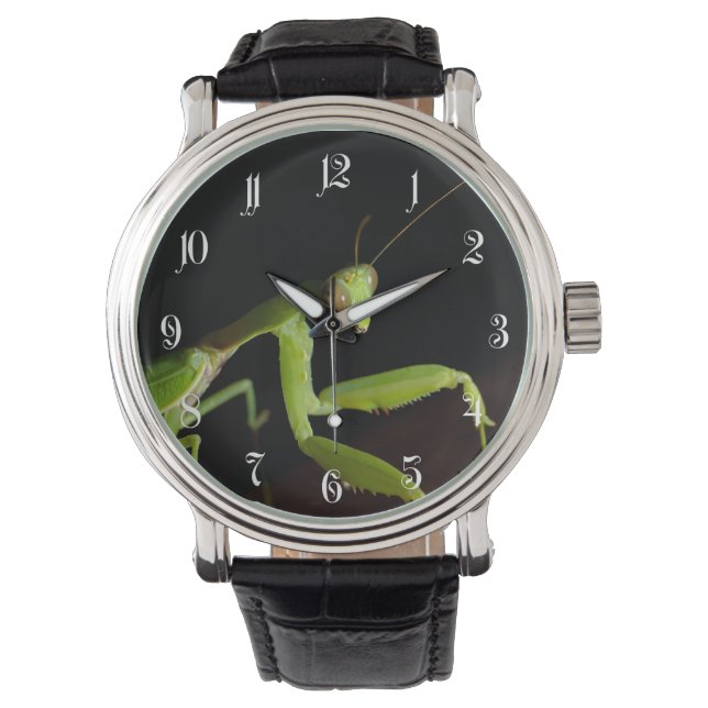Montre Praying mantid (devant)