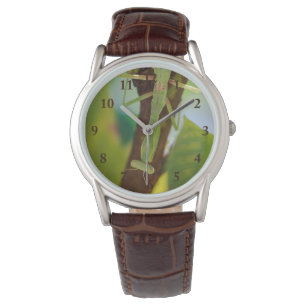 Montre Priez Mantis Leather Watch