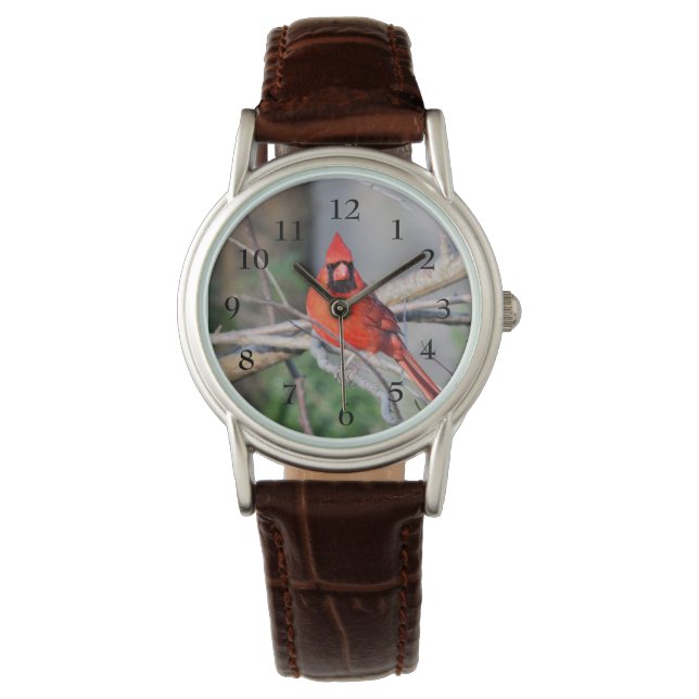 Montre Printemps cardinal (devant)