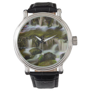 Montre Printemps des fougères, Parc national du Yosemite,