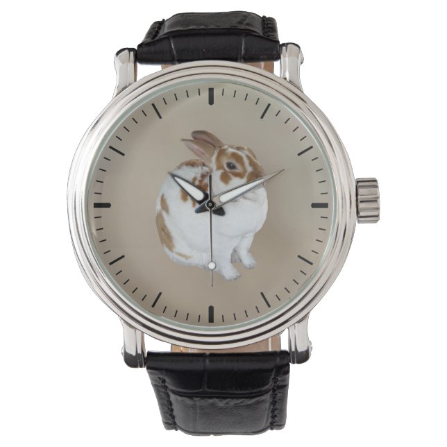 Montre Rabbit Rex Brown et blanc (devant)