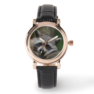 Montre Raccoon