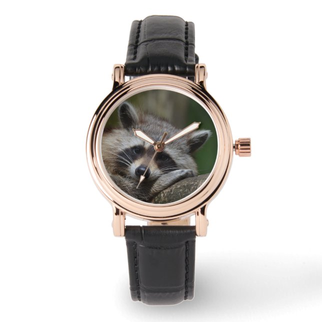 Montre Raccoon (Recto)