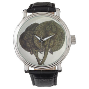 Montre Raies pastenagues, Animaux de la vie marine vintag