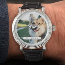 Rappelez-vous votre animal avec une photo sur un