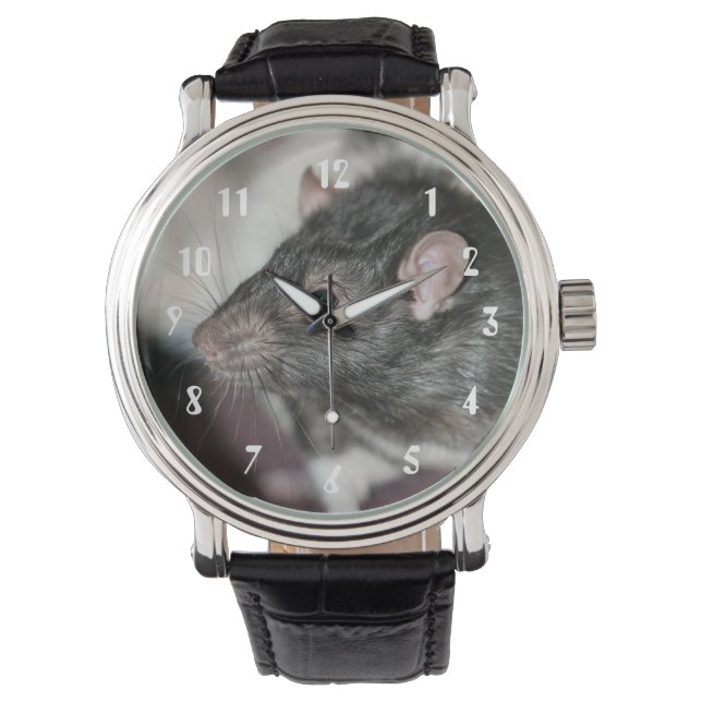 Montre Rat (devant)