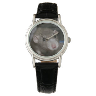 Montre Rat curieux