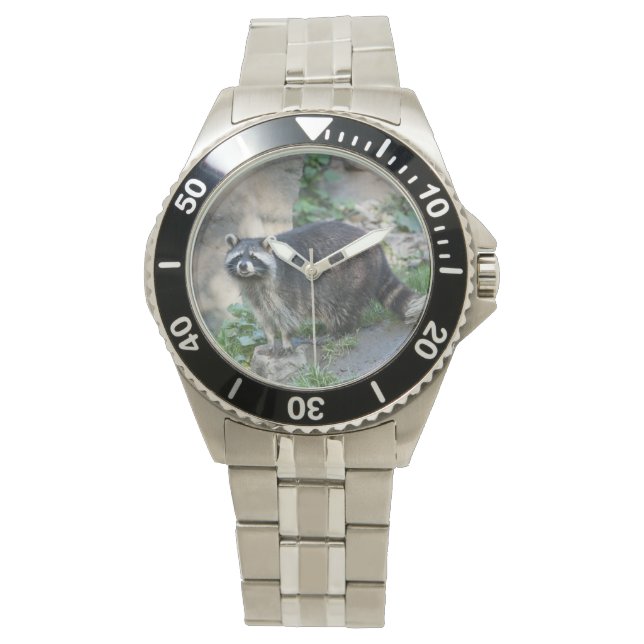 Montre Raton laveur (devant)