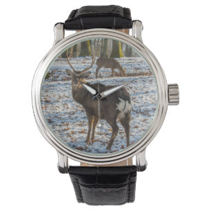 Montre Red Deer en neige