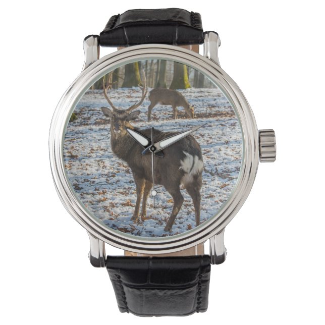 Montre Red Deer en neige (devant)