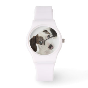 Montre Regarder femelle de chiot de teckel/chiwawa