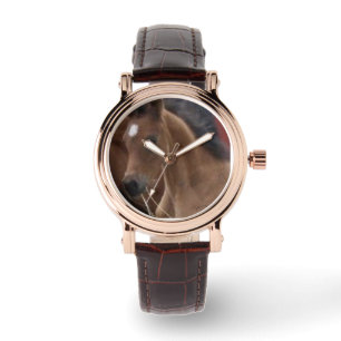 Montre Regarder le poulal par Hevener