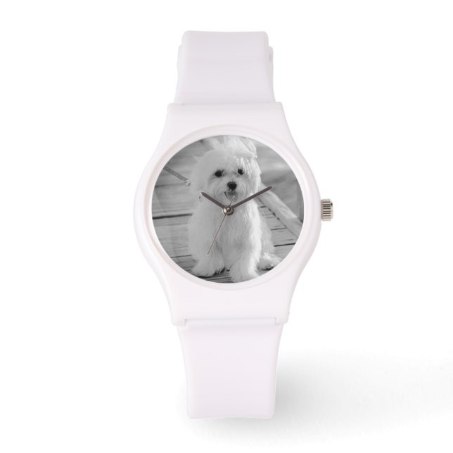 MONTRE REGARDER MALTESE CADEAU SPÉCIAL POUR LES AMATEURS  (Recto)