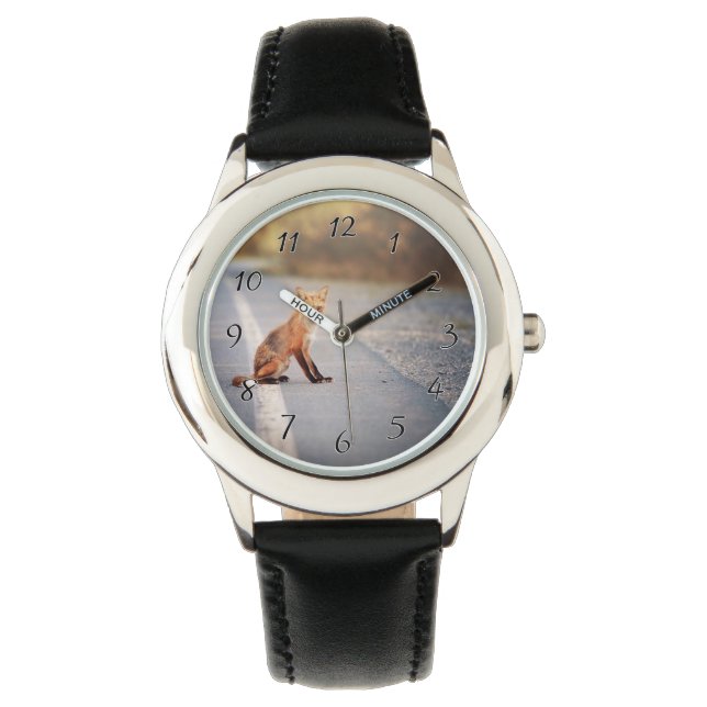 Montre Renard rouge Assis sur le côté de la route (devant)