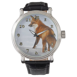 Montre Renard rouge en hiver