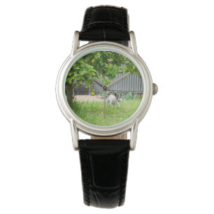 Montre Renard Terrier Scare Face Dames Black Leather Watc