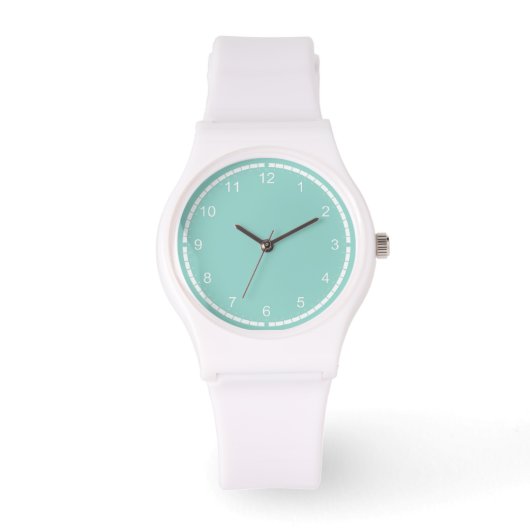 Montre Robin's Egg Blue Jewelry Box (Recto)