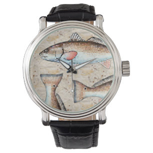 Montre Rougets communs et queues