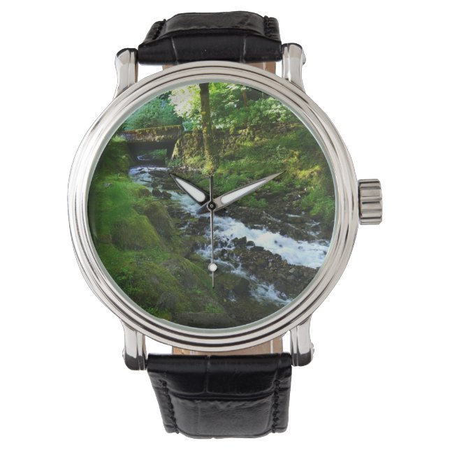 Montre Runoff from Wahkeena Falls (devant)