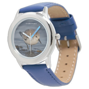 Montre Sanderling se promène sur une plage d'hiver