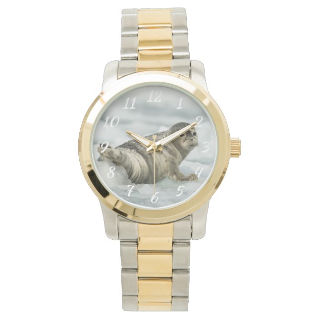 Montre Sceau de bébé précieux (devant)