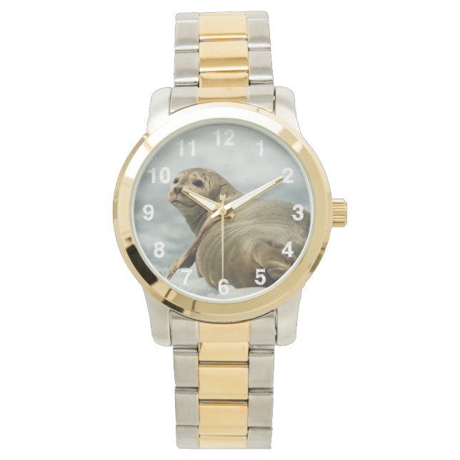 Montre Sceau de fatigue (devant)