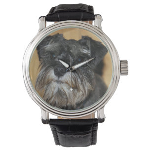Montre Schnauzer miniature