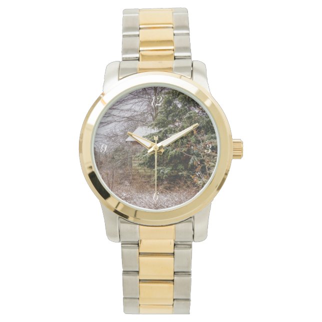 Montre Shed abandonné (devant)