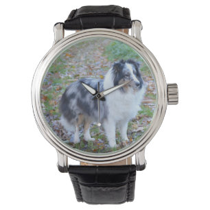 Montre Shetland Sheepdog Blue Merle