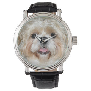 Montre Shih Tzu font face