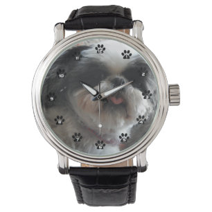 Montre ShihTzu