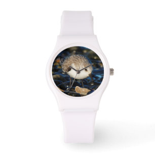 Montre Shorebird Dines on Clam