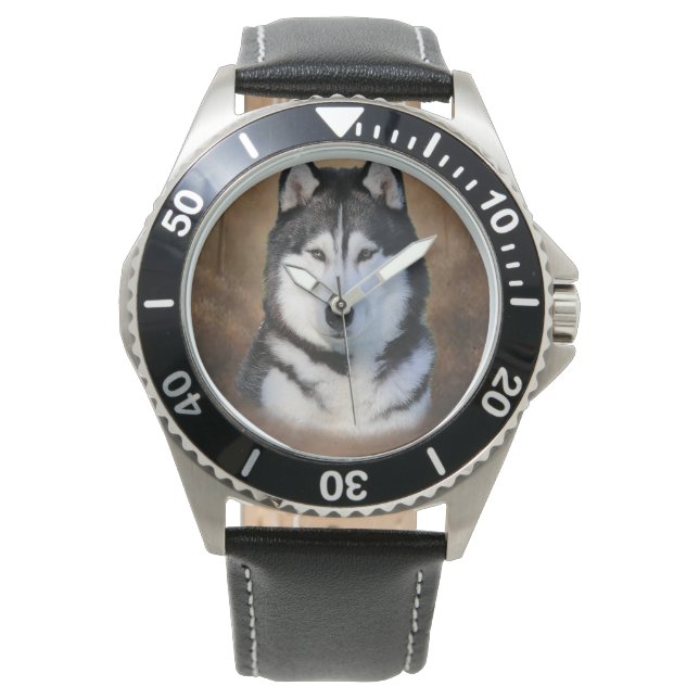 Montre Sibérien Husky (devant)