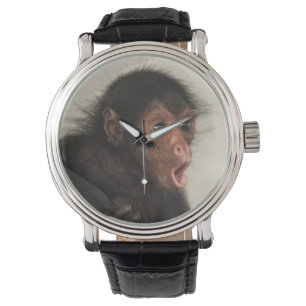 Montre Singe araignée à face rouge Ateles paniscus)