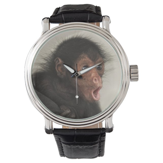 Montre Singe araignée à face rouge Ateles paniscus) (devant)