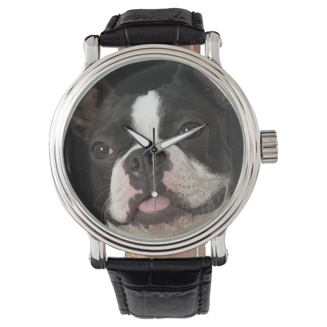Montre Smiling Boston terrier with collar (devant)