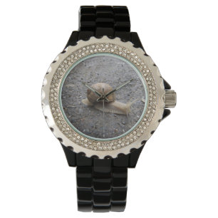 Montre Snail