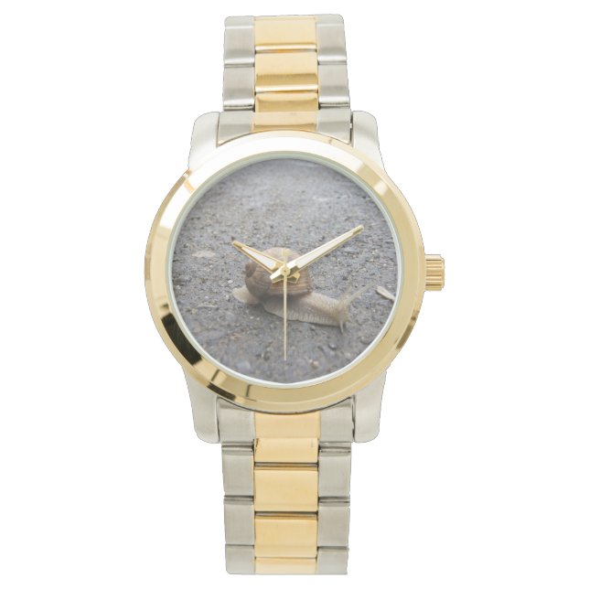 Montre Snail (devant)